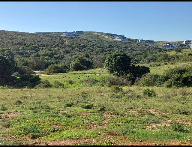 3 BEDROOM HOUSE FOR SALE IN OUTENIQUASBOSCH